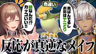一日違いで同じ色違いのポケモンを手に入れるも反応に差があり過ぎるメイフの二人【にじさんじ/フレン・E・ルスタリオ/イブラヒム】
