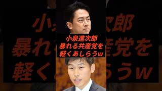 小泉進次郎暴れる共産党を軽くあしらうw #政治 #ニュース #高市政権 #日本共産党 #山添拓