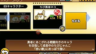 福引きで当てたにゃんこで高知攻略！