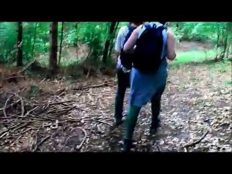 Drumul prin pădure de la Cutca la Ceaba, județul Cluj