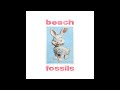 Beach Fossils Don T Fade Away