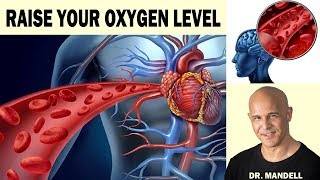 HOW TO NATURALLY RAISE OXYGEN BLOOD LEVELS  FOR THE BRAIN, HEART, BODY - Dr Alan Mandell, DC