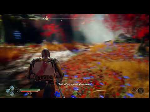 How to pronounce Seidr?