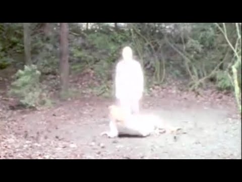 31 lat temu wyemitowany został pierwszy odcinek ” Z Archiwum X “