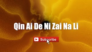 Download lagu Yuan Yao Fa - Qin Ai De Ni Zai Na Li mp3