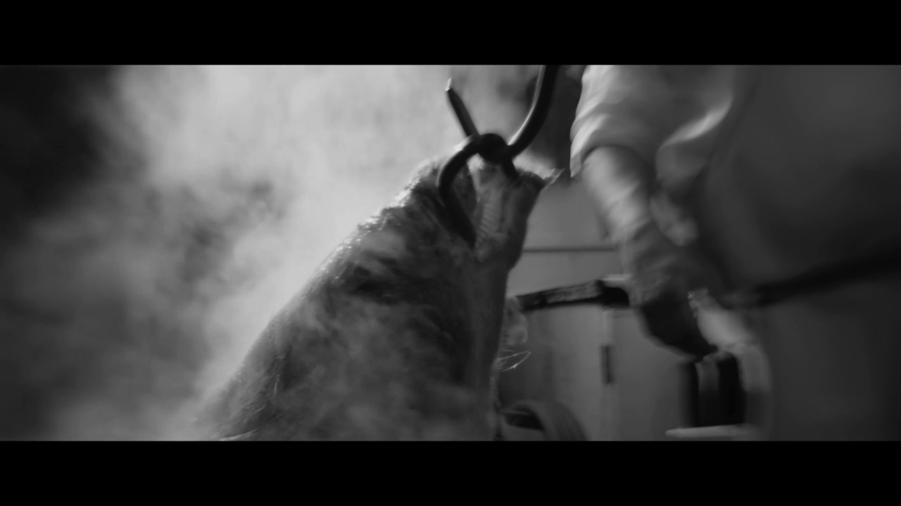 Trailer oficial de La Voce - Voiceless Legendado