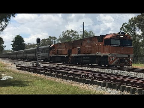 Journey Beyond the Great Southern leads 2BT8 with NR30/NR31 South through Greenbank  13/1/25 week 6