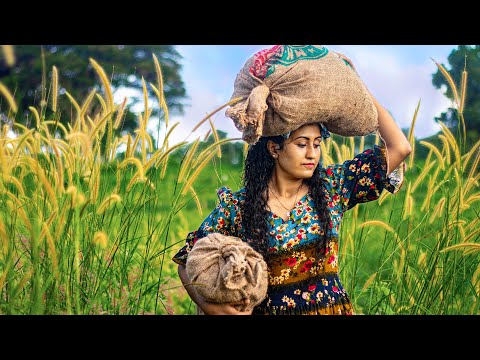 Urad dhal (Black Lentil) Recipes from Sri Lanka π« Indian and Sri Lankan Dosai, Sambaru & More!