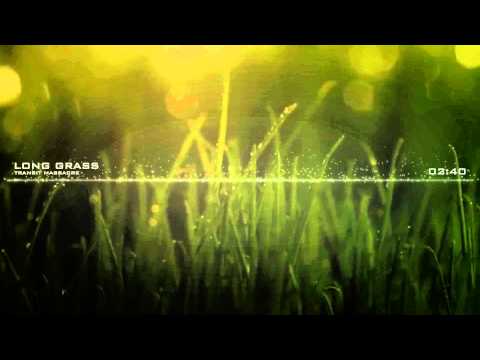 Transit Massacre - Long Grass