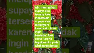 Download lagu #shorth #shorthvidio #motivasi #kehidupan dan #katakatabijak mp3 Download lagu #shorth #shorthvidio #motivasi #kehidupan dan #katakatabijak mp3