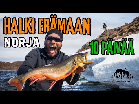 ERÄMAAN HALKI 10 PÄIVÄSSÄ – ONKO RAUTU SYÖNNILLÄÄN? 🎣 Kalastusvaellus Finnmarkissa