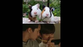 Download lagu TinCan funny moments/ Love by Chance season 2 #lovebychance #perthsaint #tincan #blseries mp3