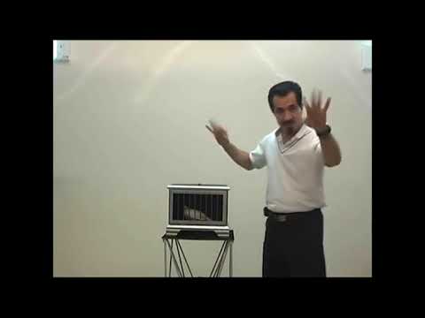 AUTO DOVE AND RABBIT CAGE by Tora Magic