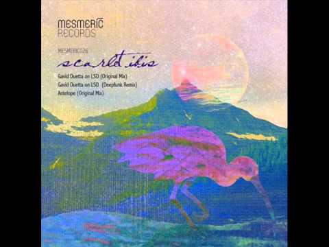 Scarlet Ibis - Gavid Duetta on LSD (Deepfunk Remix) - Mesmeric