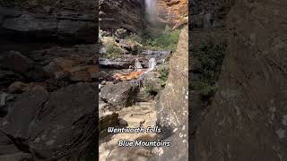 Trekking at Blue Mountains #trekking #waterfall #australia