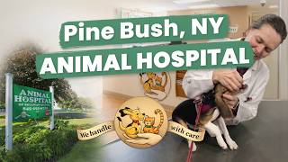 Animal Hospital Pine Bush, NY
