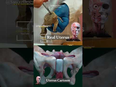 リプロダクティブ・ヘルスについて詳しく解説