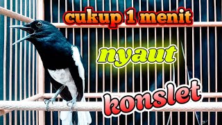 Download lagu 🔴LANGSUNG PLAY SAJA ‼️KACER ANDA PASTI LANGSUNG BUKA EKOR SEKETIKA❗❗ mp3 Download lagu 🔴LANGSUNG PLAY SAJA ‼️KACER ANDA PASTI LANGSUNG BUKA EKOR SEKETIKA❗❗ mp3