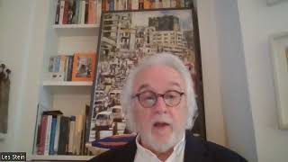 Fundamental Values in Analytical Psychology - Leslie Stein