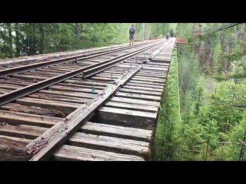 Vance Creek Bridge: the abandoned logging trestle 347 feet above the Olympic forest
