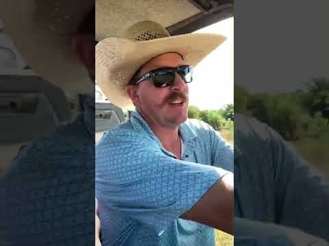 Goats at work on the ranch!