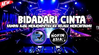Download lagu DJ SAMPAI AJAL MENJEMPUTKU KU SELALU MENCINTAIMU TIK TOK | BIDADARI CINTA JUNGLE DUTCH FT NOFIN ASIA mp3