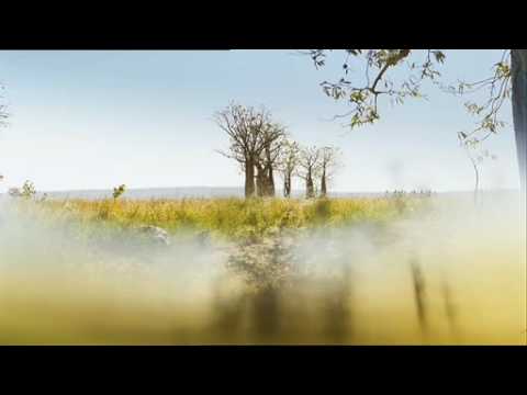 I Still Call Australia Home - 2M