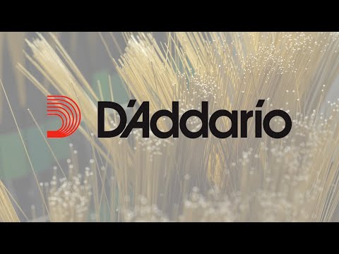 Teamwork Testimonial - D'Addario