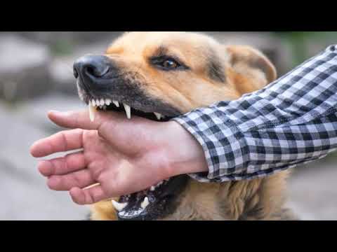 French combat ration. Re-upload @caljbeut.