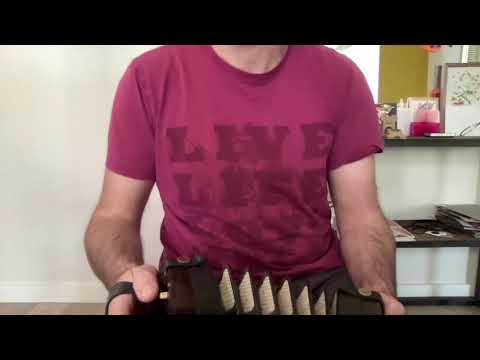 Jones concertina for sale, 4 tunes