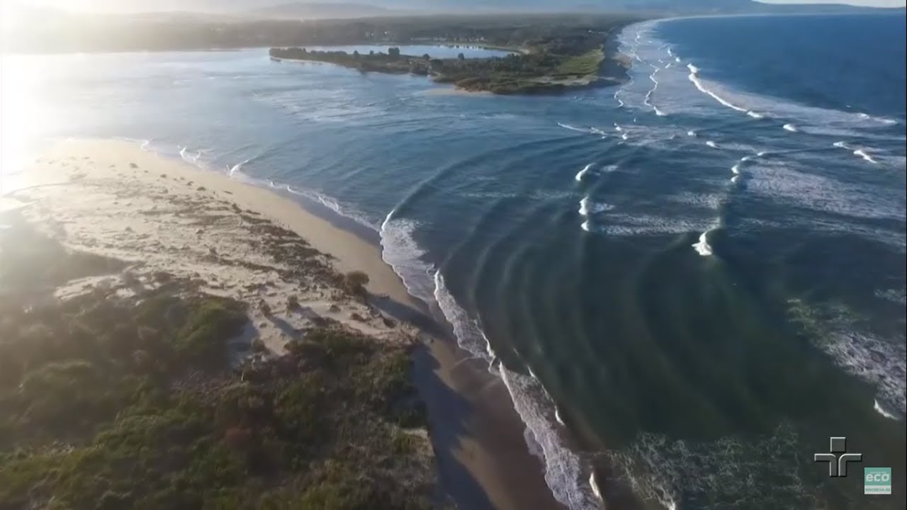 Repórter Eco  | 17/02/2019