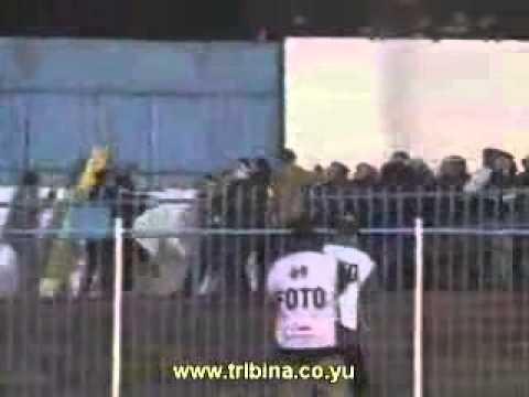 Hooligans Polska-Serbia