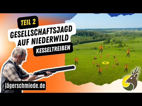 🐰Gesellschaftsjagd auf Niederwild - Kesseltreiben (Teil 2/2) 🐰 Sicher zur Jagdprüfung