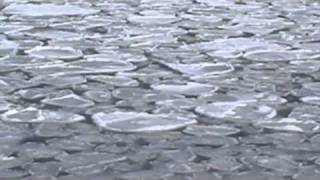 preview picture of video 'Ryuhyo - Japanese Drift Ice in the Sea of Okhotsk Abirishi, Hokkaido'