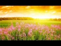 ОДИНОКАЯ ЛЮБОВЬ 