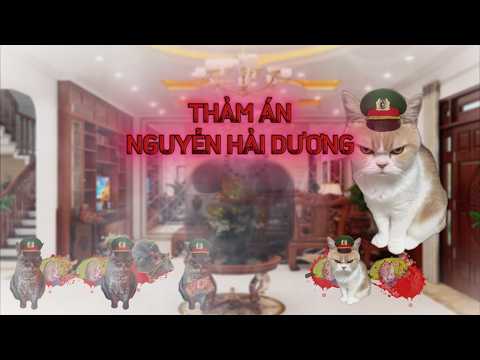 THẢM ÁN NGUYỄN HẢI DƯƠNG | Trinh thám bằng meme mèo | Hắc MEO