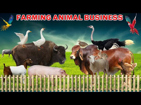 , title : '18 Most Profitable Farm Animals to Raise | Livestock Farming Business Ideas'