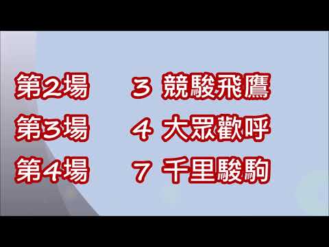 20190331 香港賽馬貼士 HONG KONG HORSE RACING TIPS - SHATIN AND HAPPY VALLEY 莫雷拉 潘頓