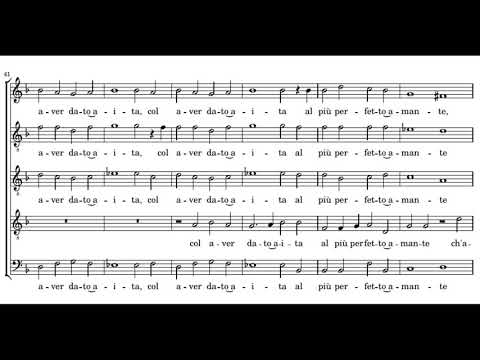 Cipriano de Rore: Candido e vago fiore - La Compagnia del Madrigale