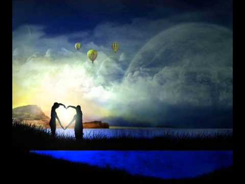 Suntree - The Future