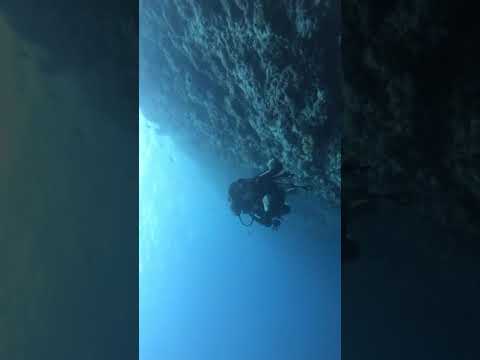 Pranitha Subhash under Beach! #PranithaSubhash Same Planet, Different world!