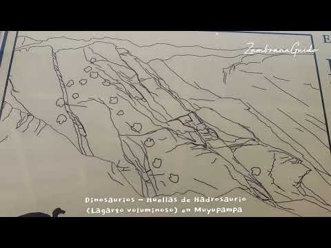 Huellas de dinosaurios (Hadrosaurio 🦕) en Muyupampa, Chuquisaca