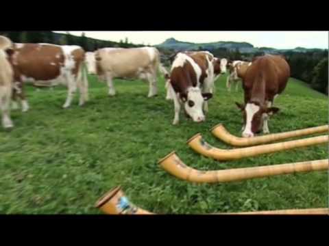 Swissness - Doku in 3sat