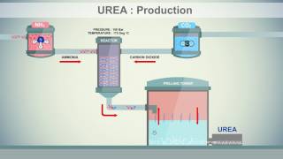 Urea Production