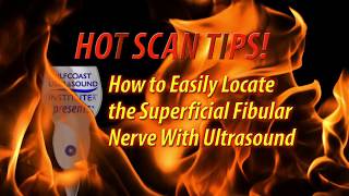 Hot Tip-How to Easily Locate the Superficial Fibular Nerve with Ultrasound