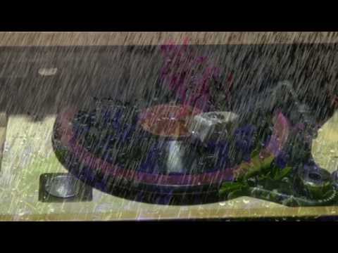 Salzburger Schnürlregen - Polydor Tanz-Orchester