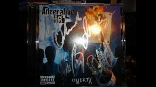 Adrenaline Mob - Down to the Floor