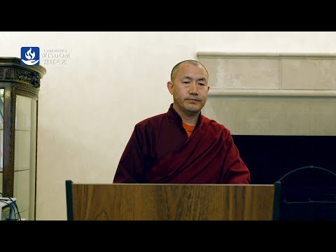 Liberating Yaks:The Vegetarian Question in Tibet