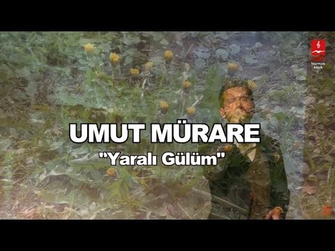 UMUT MÜRARE "YARALI GÜLÜM"