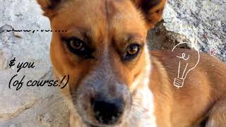 A Great Big World- Cheer Up!